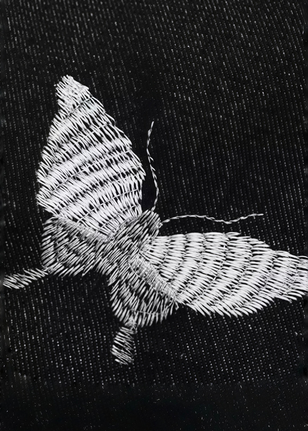 ナビデニムパンツ Ril 5836